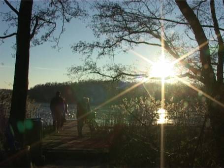 Nettetal : Im Winter an den Krickenbecker Seen, Hinsbecker Bruch